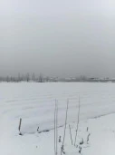 Земельный участок 7,5 Га, Белореченский р-н, Краснодарский край